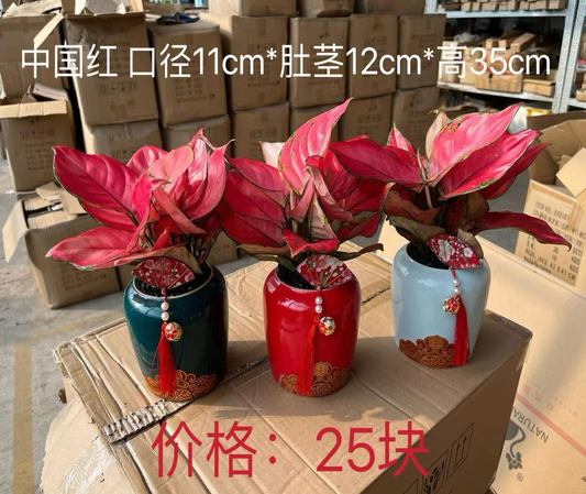 CNY Prosperous Petite Pot 02 - 中国红